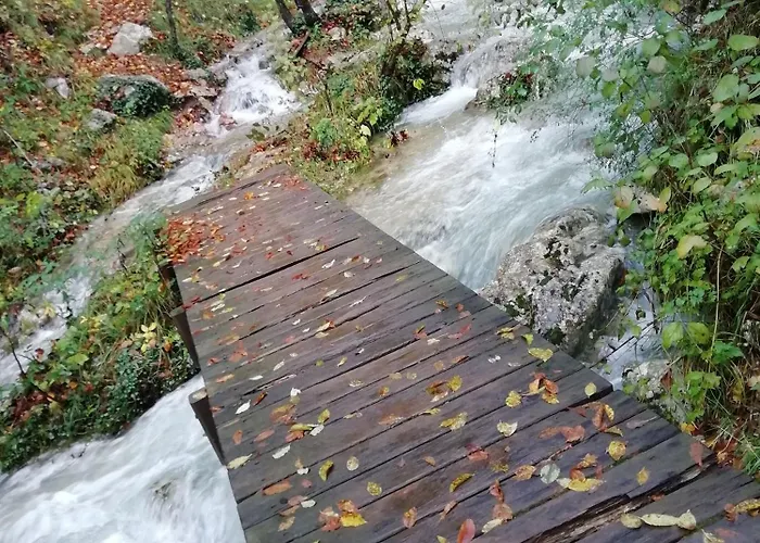 Διαμέρισμα Modric